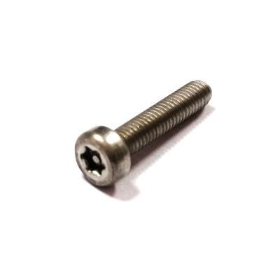 Security Hexagon Socket Head Cap Torx Screws with Pin