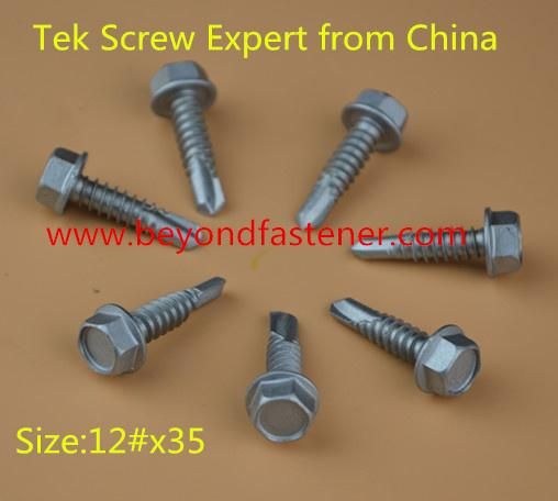 Self Tapping Screw Form B Thread Plastic Screw Cutting Point