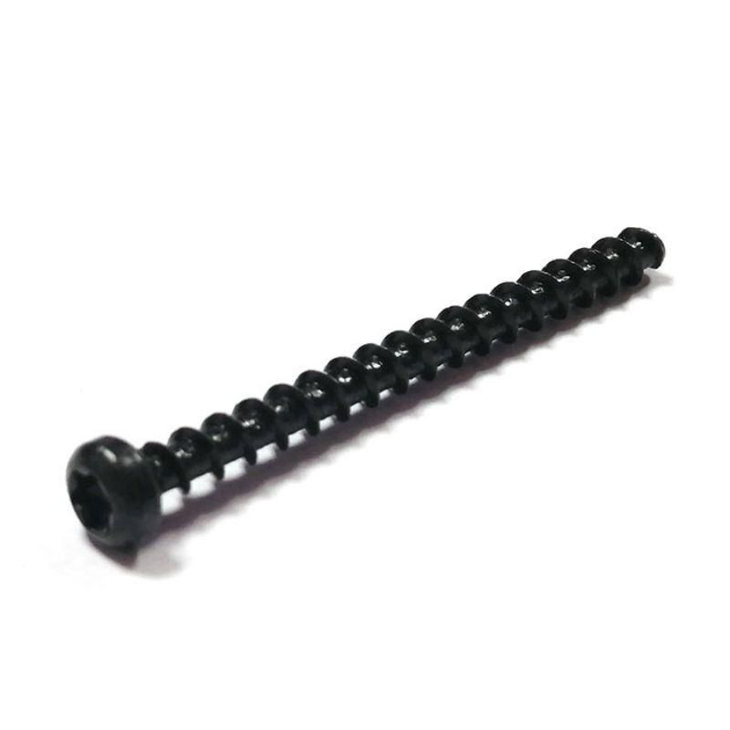 Oxide Black Wn1412 M3 M4 Pan Torx Head Self Tapping Screws for Plastic