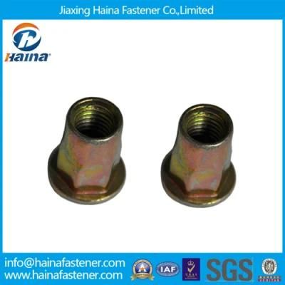 China Fastener Yellow Zinc Plated Flat Head Rivet Nuts