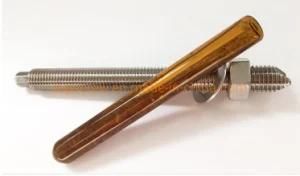 China Supplier on Selling Stainless Steel Chemical Anchor Bolt