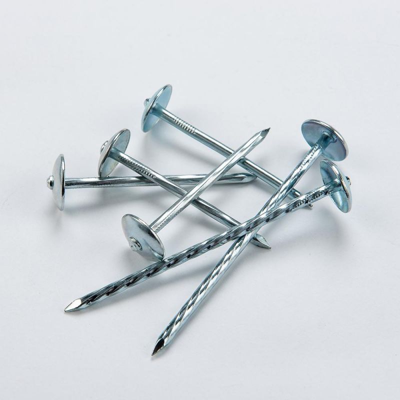 Screw Shank Galvanized Roofing Nail with Umbrella Head for Building and Connect
