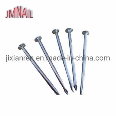 DIN Standard Eg Common Nail with Competitive Price