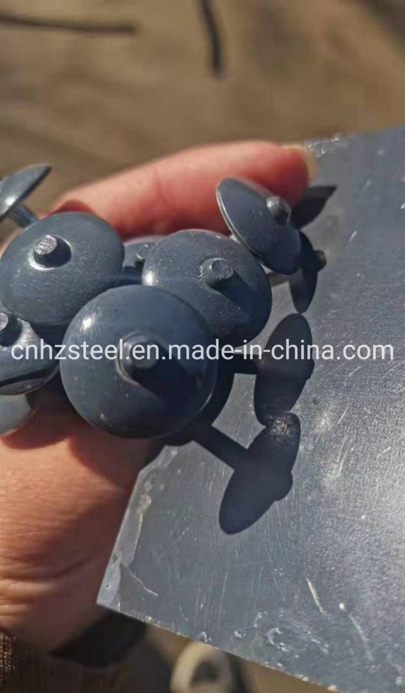 China Factory Price Iron Nail / Electro Galvanized Umbrella Head Roofing Nail