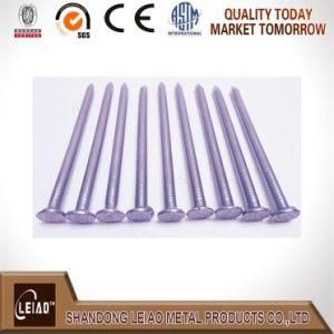 Professional Manufacturer of Common Wire Nails