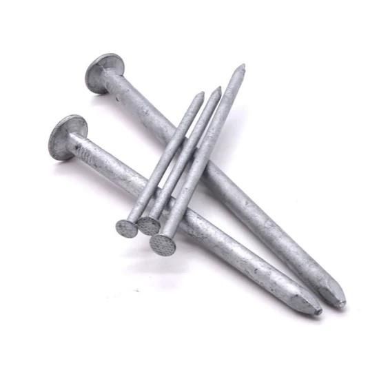 Q195 Galvanized Common Nail with High Quality