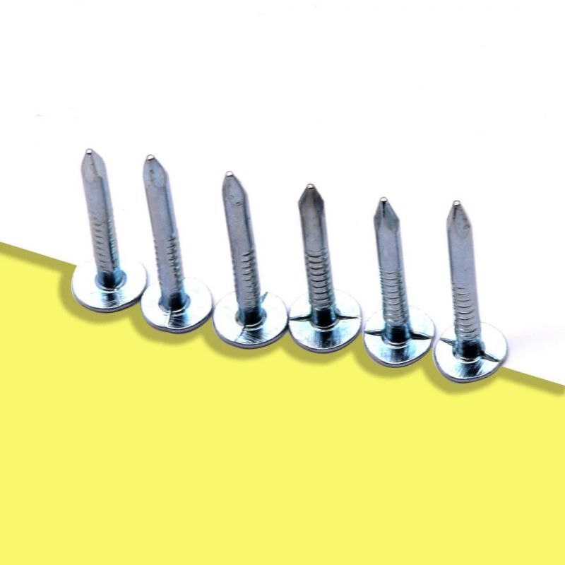 Factory Direct Sales Angular Spiral Steel Concrete Nails 4 Inch Concrete Nails1 Buyer