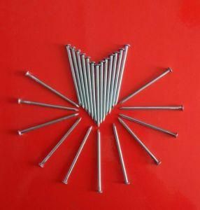 Galvanized Iron Common Wire Nail in Best Price