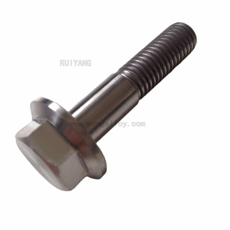 Fasteners GB5787/5789 316 Stainless Steel Hex Head Flange Bolts and Nuts