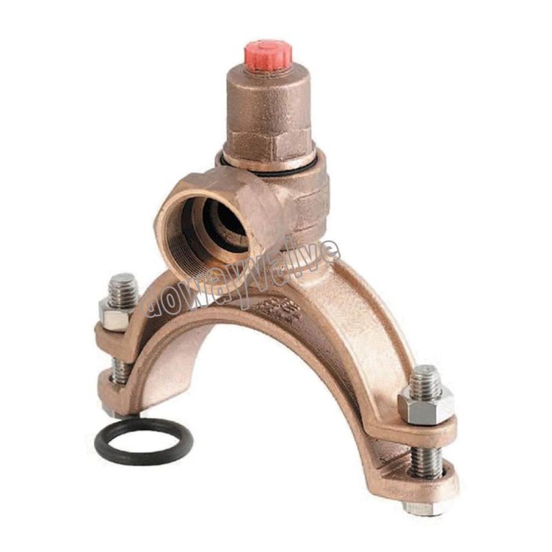 China Factory Gunmetal Ferrule Valve with BS1400 LG2