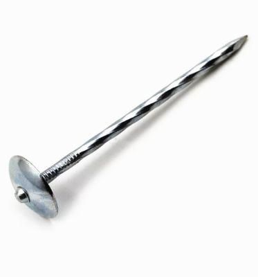Zinc-Plated Mushroom Head Galvanized Roofing Nail in Guangzhou