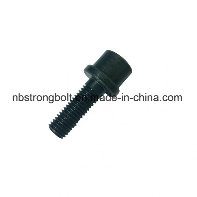 Hex Socket Screw with Black, Non-Standard Screw, Non-Standard Bolt, Non-Standard Fasteners