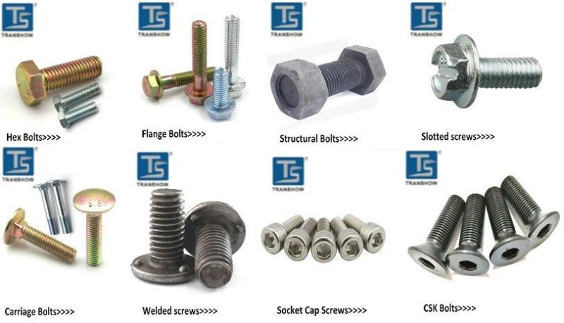 Stainless Steel304/316 Hex Flange Bolt
