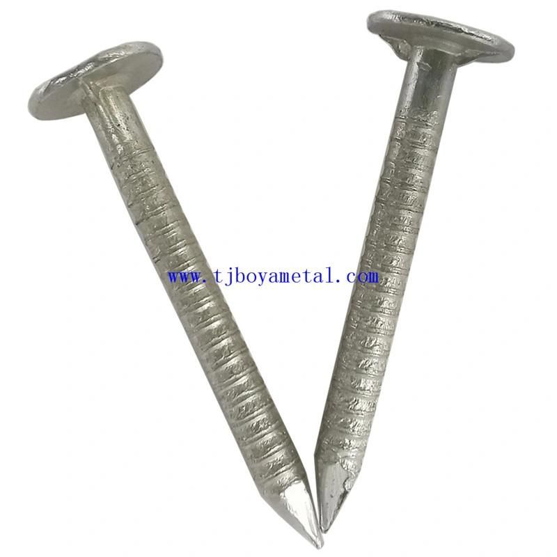 Ring Shank Nails/Smooth Spiral Ring Shank Nails for Building and Construction