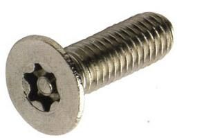 Security Screw