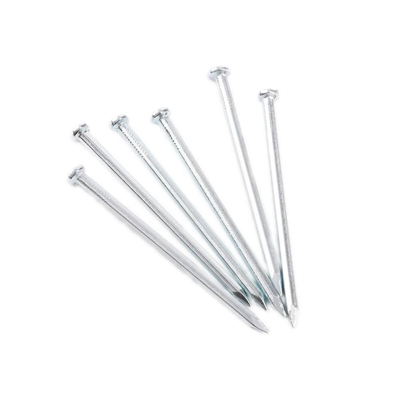 2021 Hot Sale Concrete Nails, Black Concrete Nails, Galvanized Concrete Nails