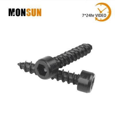 Black Finish Cup Head/Cylinder Head Socket Head Self Tapping Screws