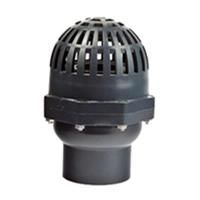 Swing Foot Valve