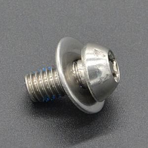 Button Head Cap Screw with Washer (CZ228)