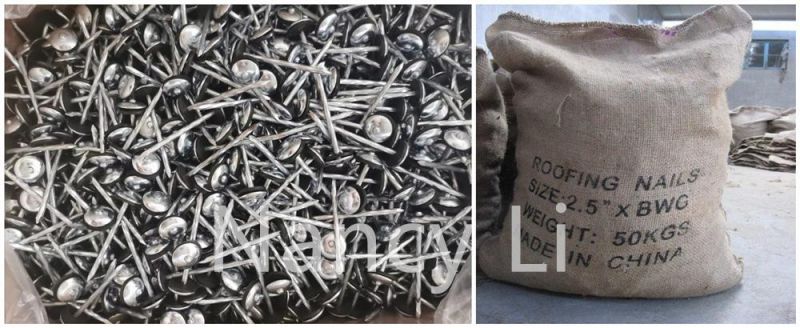 E. G Roofing Nails with Umbrella Head with Twisted Shank with Rubber Washer