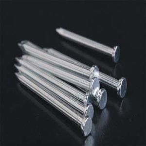 Galvanized Concrete Nails Common Steel Wire Nails