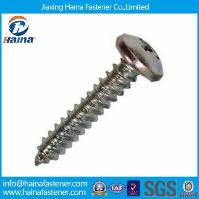 DIN7981 Stainless Steel Pan Head Self-Tapping Screws