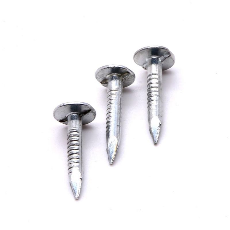 High Quality Eg HDG Large Flat Head Iron Nails Roofing Nails Clout Cupper Nails