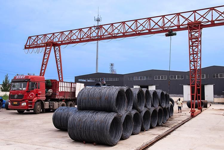 Yello Coated Coil Nails for Making Pallet