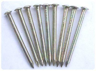 Factory Supply Construction1-2 Inches Steel Nail