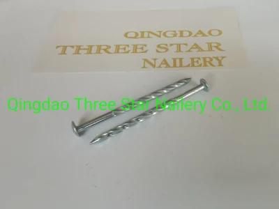 Guinea Congo Ethiopia Market/Cheap Price Q195 Twisted Nails/Galvanized Twisted Nails/Africa Market Nails
