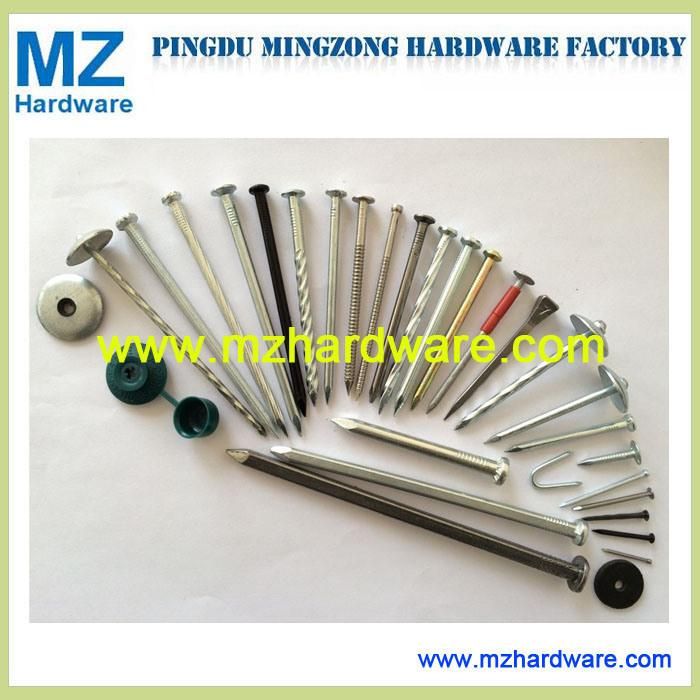 Common Round Iron Nails 4bwg to 20bwg 11g*2.5′ ′