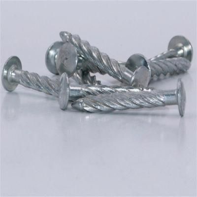 Galvanized Thread Nail Twist Nail/Anti-Theft Mesh Ribbed Nail