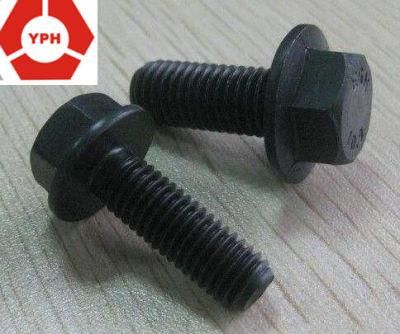 Stainless Steel Hex Flange Bolts with Black DIN6921