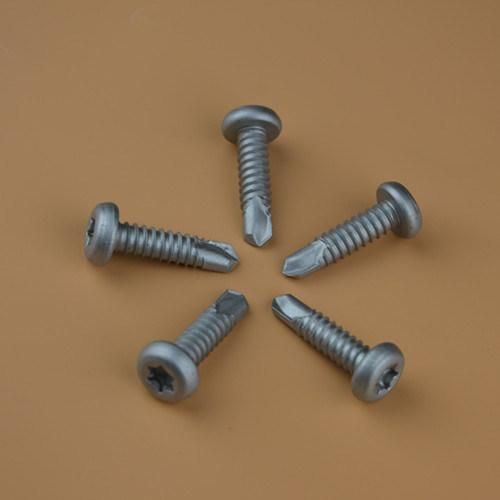 Screw/Torx Screw/Epoxy Screw/Self Tapping Screw/Self Drilling Screw