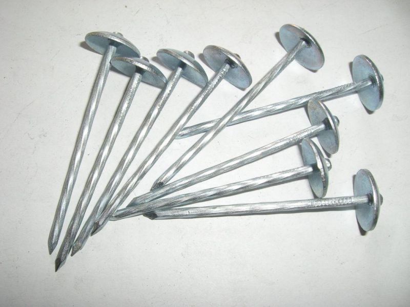 Umbrella Head Roofing Nail Roofing Nails Electro Galvanized Roofing Nail