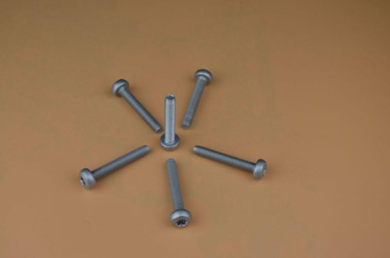 Special Screw/ Stud Bolts/ Square Head Screw /Fastener