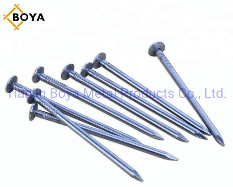 Best Quality Hardware Nail/Iron Nail/Hot Dipped Galvanized Nail/Building Nail/Polished Common Nail