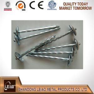 Roofing Nail with Blue/Small Box Inside Q195