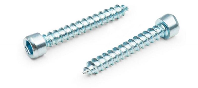Blue Galvanized Cylindrical Head Socket Head Tapping Screws for Door