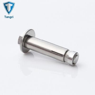 Stainless Steel Drop in Expansion Sleeve Anchor Hex Bolt
