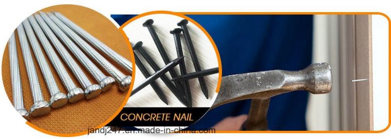 1/2"-6" Zinc Coated Concrete Steel Nails in Guangzhou