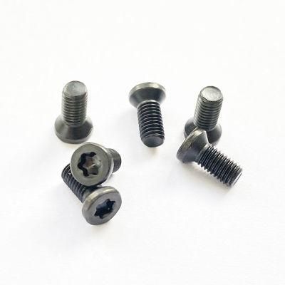 Chinese Suppliers Countersunk Head Black T10 Torx CNC Tool Screw