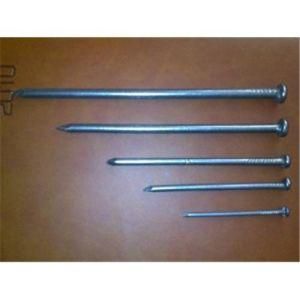 Iron Nail Common Nail /Cheap Iron Nail/Common Nails
