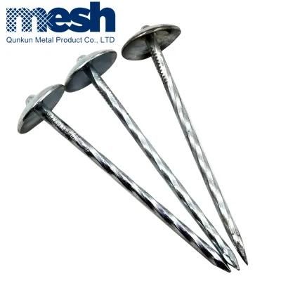 Galvanized Roofing Nails with Flat Head