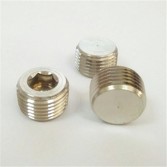 Brass Plug for Mould Water Block