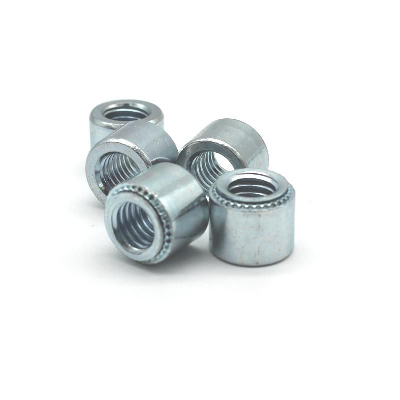 SS304 Fastener Stainless Steel Round Head Nuts M6 for Motorcycle Parts