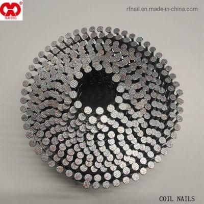 Ruifeng Brand Factory Supplier Competitive Price Steel Galvanized 16D Whiteness Wire Coil Nail Collated Nails.