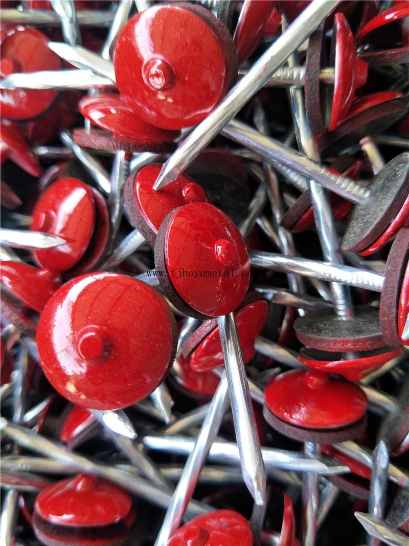 Color Umbrella Head Roofing Nail Umberlla Head Umbrella Type Roofing Nails Color Umbrella Head Roofing Nail with Washer From Factory