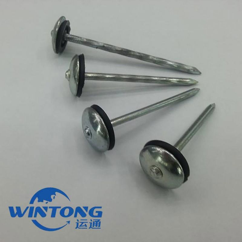 Supply of High Quality Galvanized Corrugated Nails Like Hot Custom Corrugated Nails