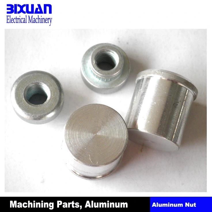 Bolt / Screw (BIXTRS2011-9) , Machining Parts